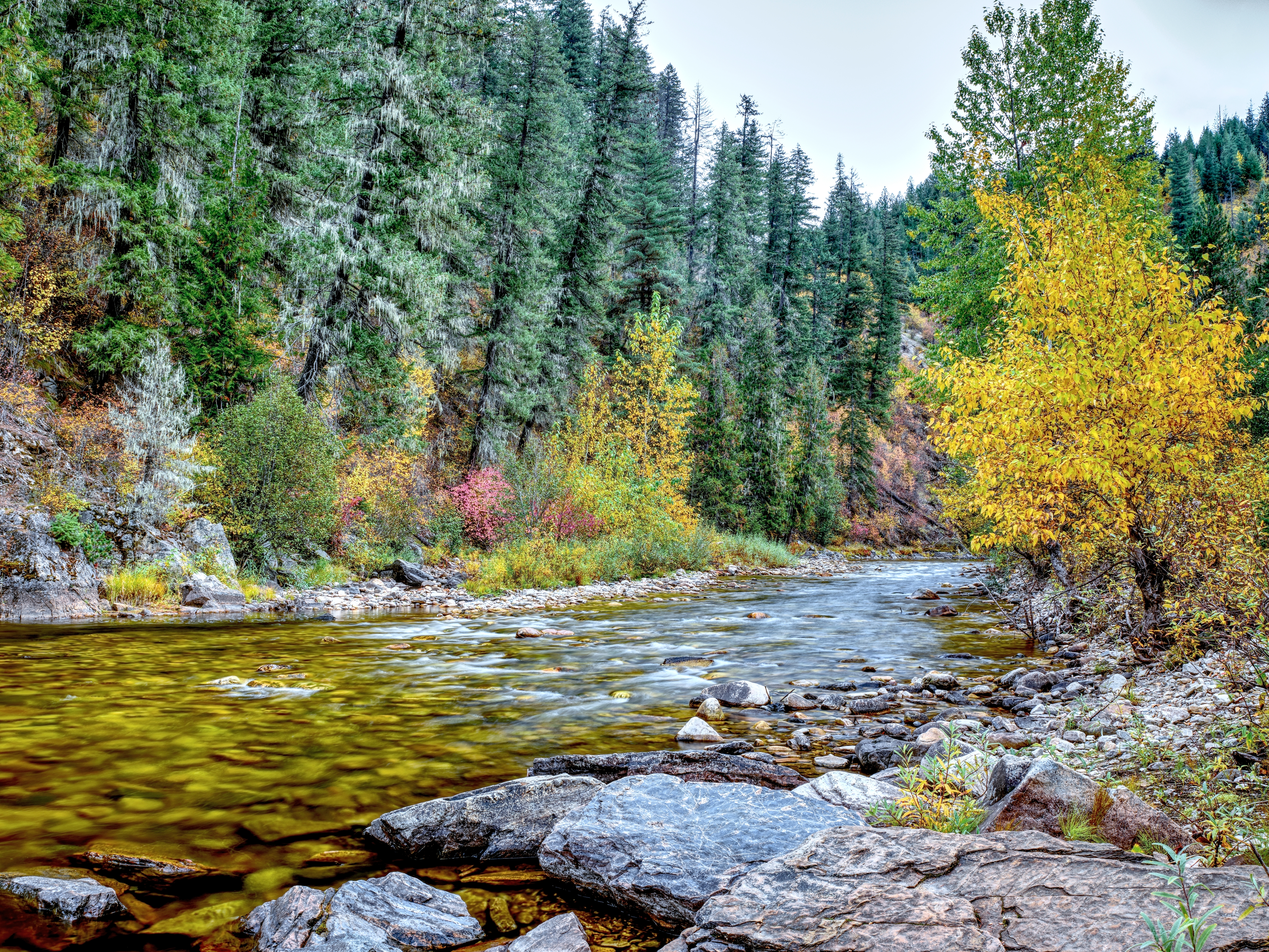 Flowing creek in Autumn