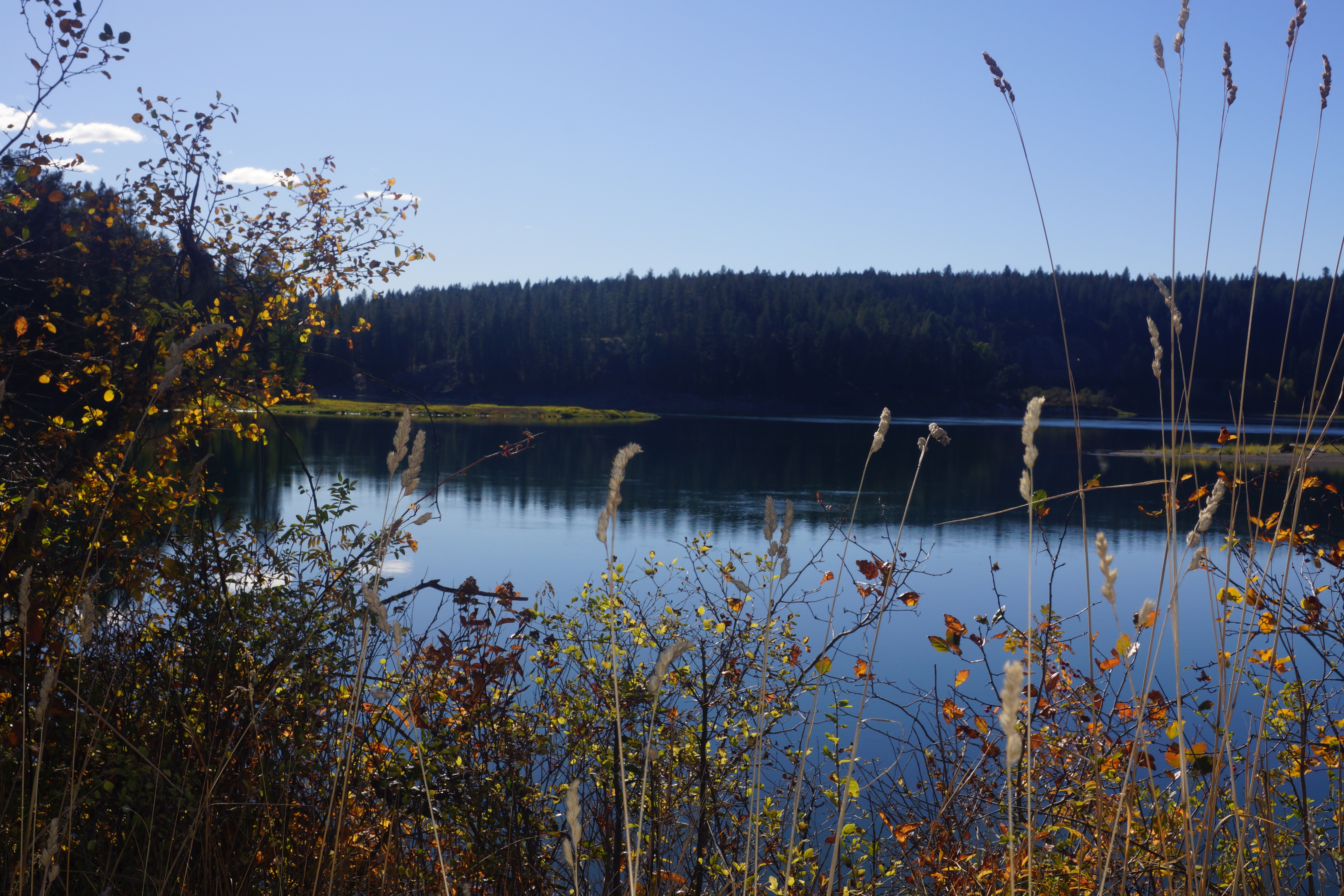 Fall foliage lake side - Photo Credit: Camey Whalen