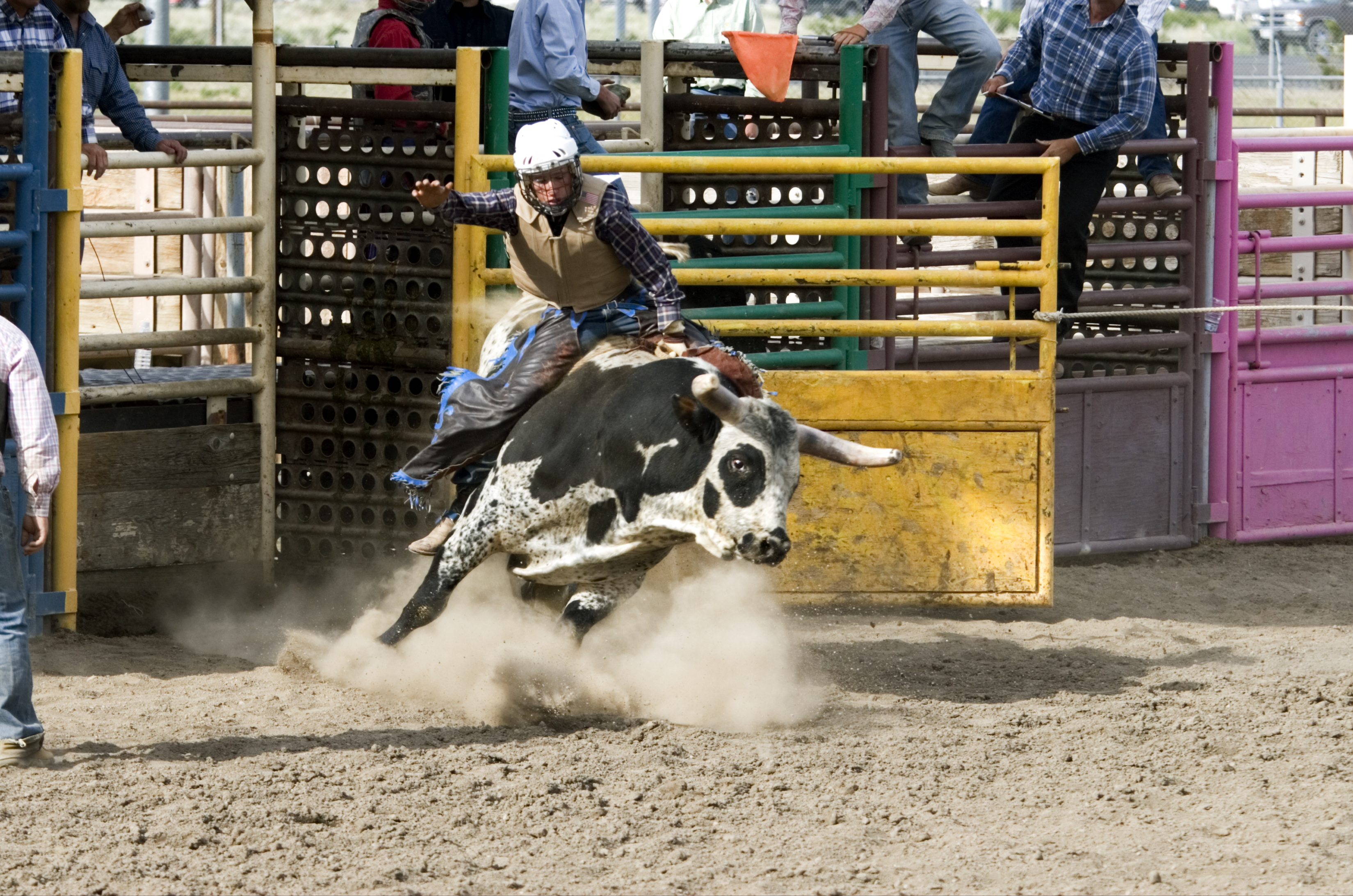 Bull rider at rural rodeo